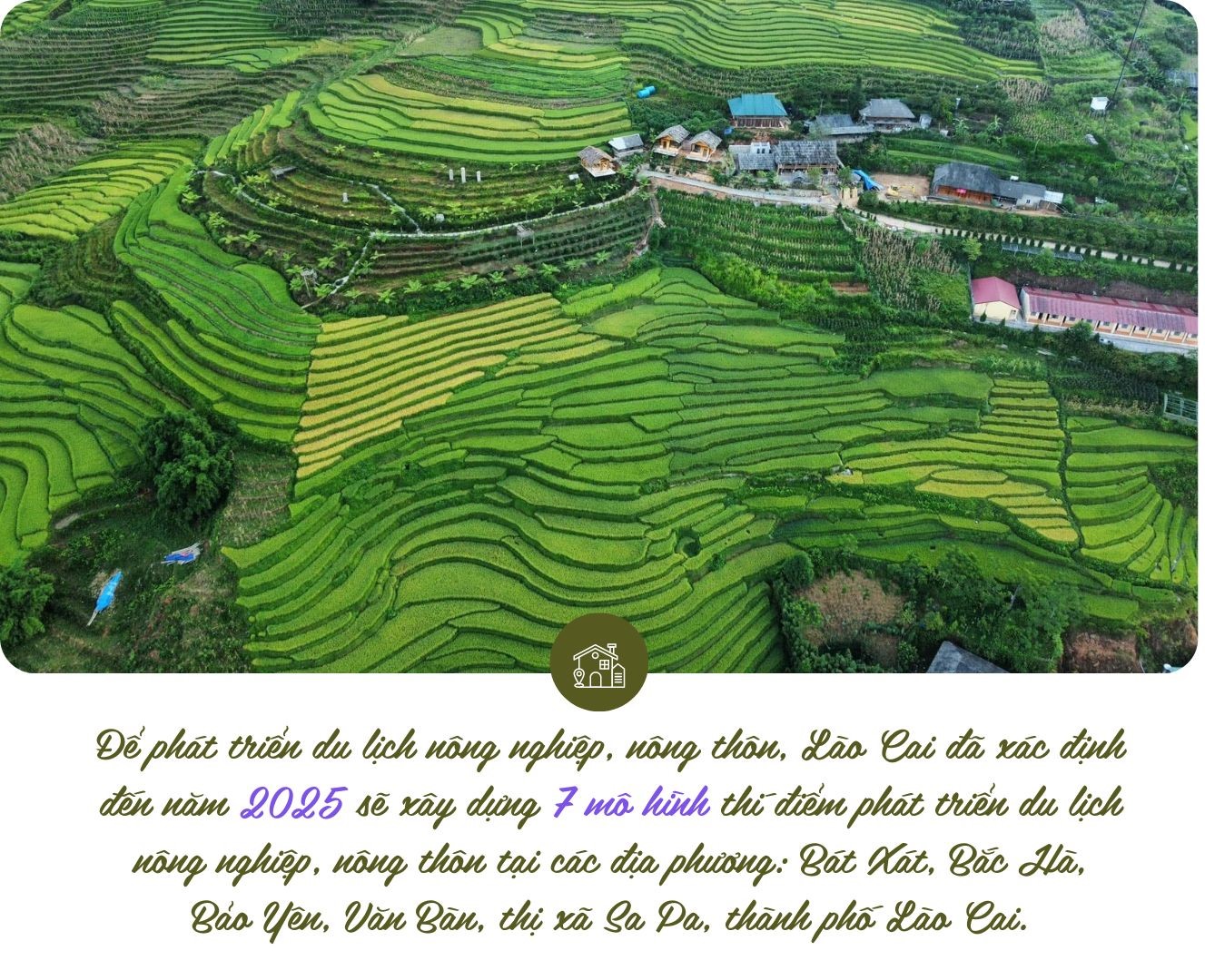 Triển vọng du lịch kết hợp với nông nghiệp ở Lào Cai.jpg