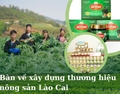 Bàn về xây dựng thương hiệu nông sản Lào Cai