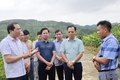 Chủ tịch UBND tỉnh Trịnh Xuân Trường kiểm tra, khảo sát một số dự án nông nghiệp tại huyện Bảo Thắng và Bảo Yên