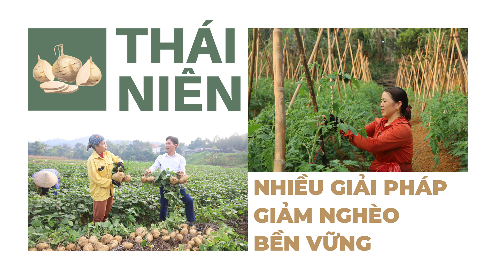 Thái Niên: Nhiều giải pháp giảm nghèo bền vững