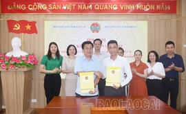 Ký kết biên bản ghi nhớ giữa Trung tâm Hỗ trợ nông dân tỉnh Lào Cai và Trung tâm Giáo dục nghề nghiệp và hỗ trợ nông dân thành phố Hải Phòng