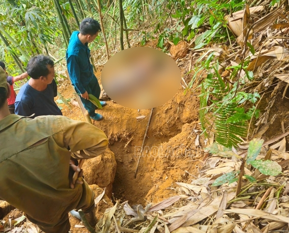 Bát Xát: 1 người bị đá đè tử vong khi đào con dúi trong rừng vầu