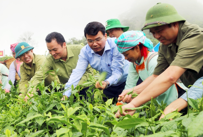 Đồng chí Đặng Xuân Phong, Bí thư Tỉnh ủy Lào Cai tham dự buổi phát động phong trào trồng chè năm 2022 tại xã Bản Sen..jpg