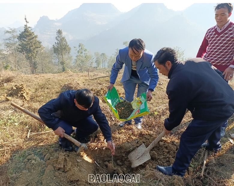 Xã Quan Hồ Thẩn triển khai hỗ trợ người dân trồng cây ăn quả ôn đới.jpg