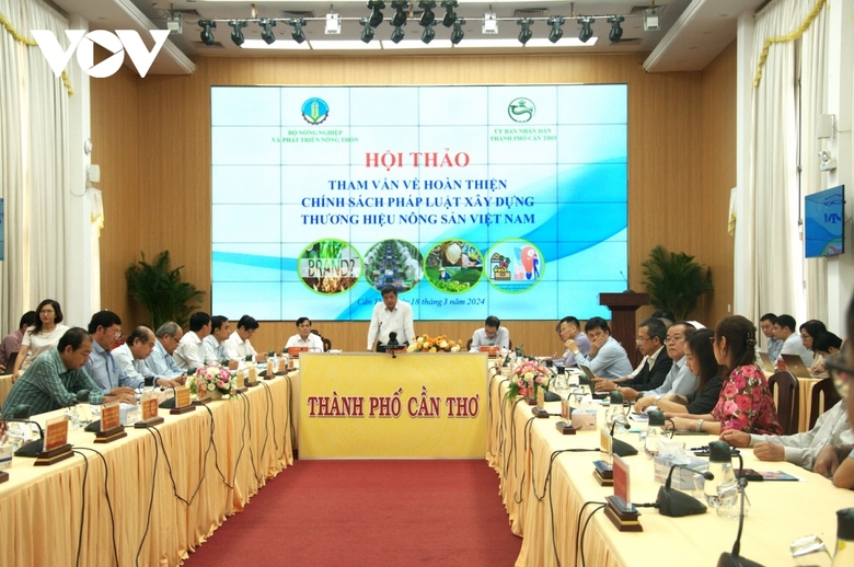 Hoàn thiện chính sách xây dựng thương hiệu nông sản Việt Nam