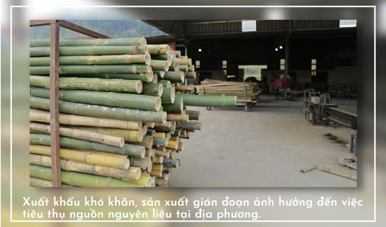 Chế biến gỗ xuất khẩu gặp nhiều khó khăn ảnh 4